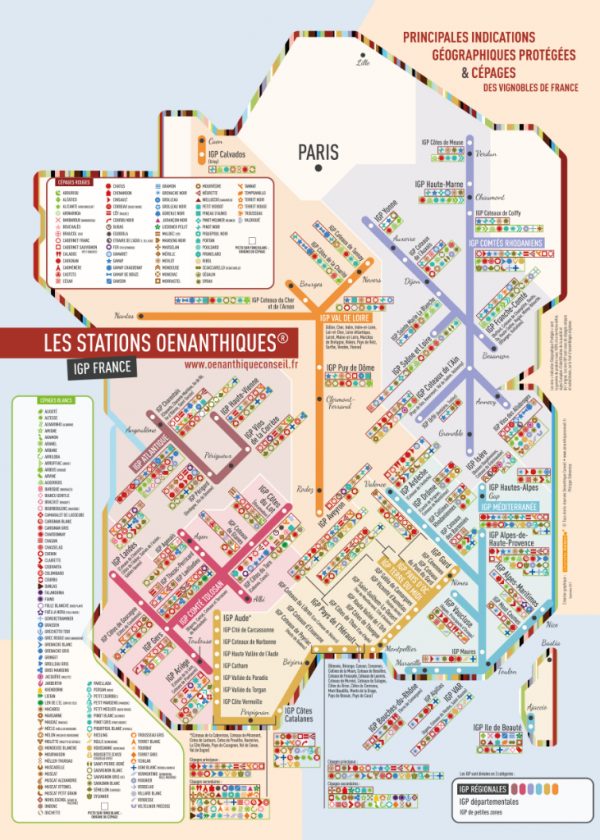 Carte des vins de France stations cépages IGP