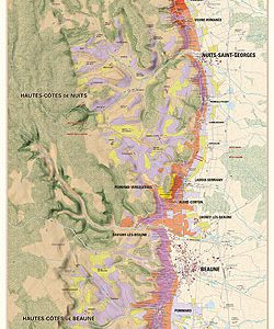 vignoble de bourgogne, la grande cote
