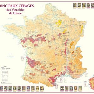 principaux cépages des vignobles de france, carte des vins