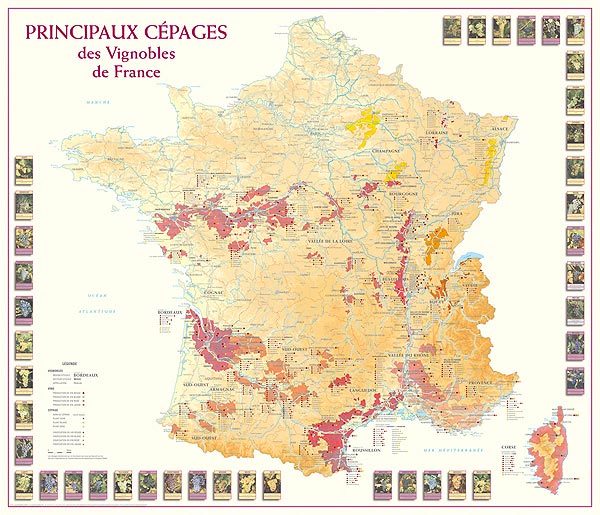 principaux cépages des vignobles de france, carte des vins