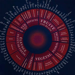 Affiche, carte, poster, Les Arômes du vin 50x70
