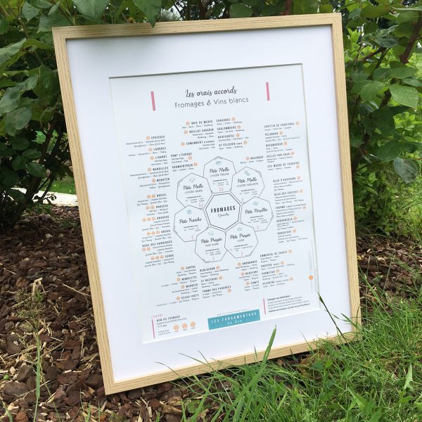 Affiche Les vrais accords Fromages et Vins blancs 30x40 APAISANTE