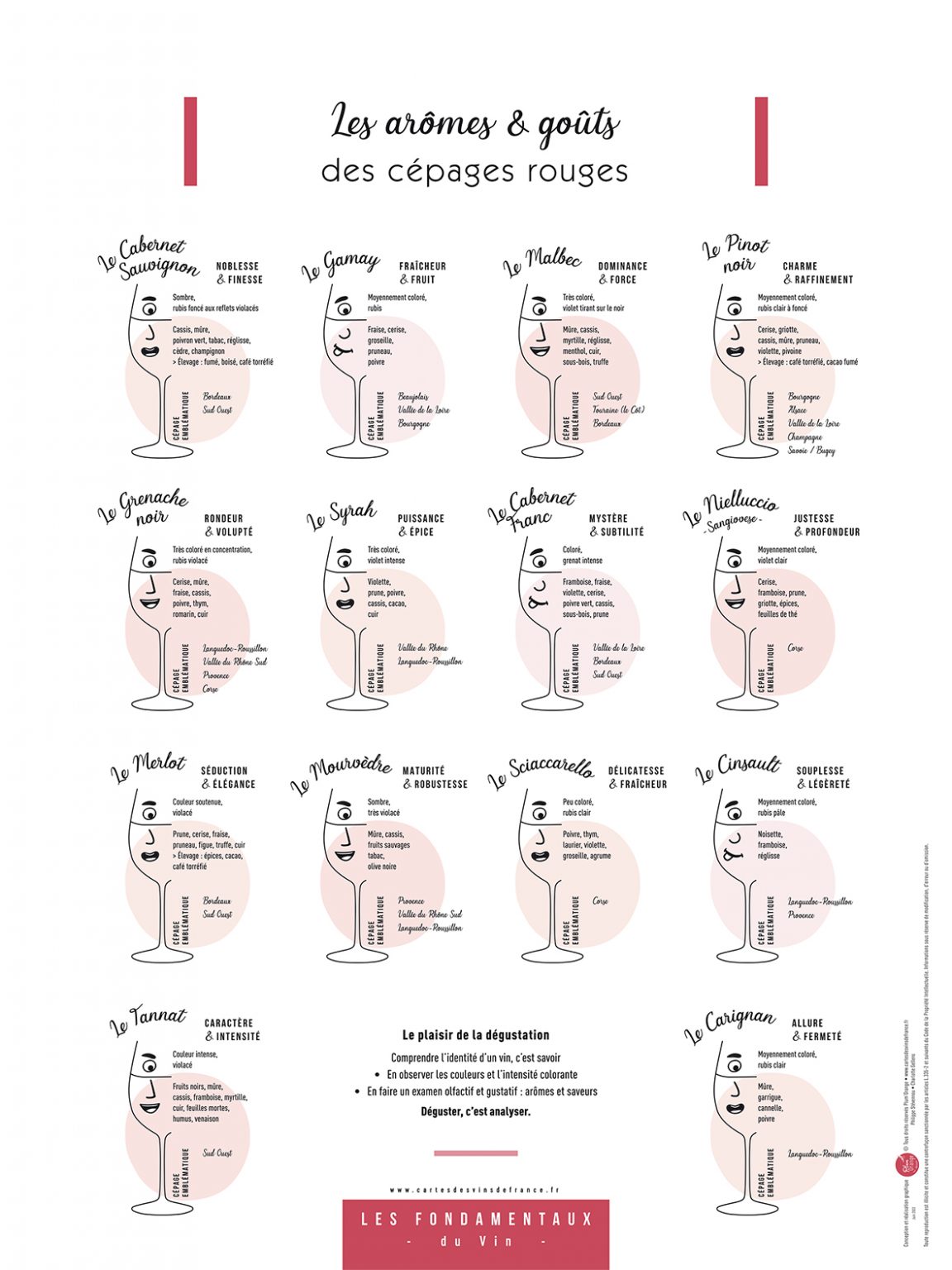 Affiche Les arômes & goûts des cépages rouges 30x40