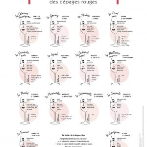 Affiche Les arômes & goûts des cépages rouges 30x40