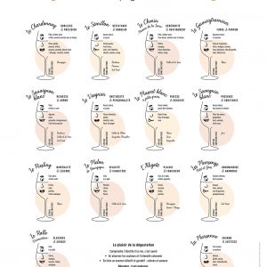 Affiche Les arômes & goûts des cépages blancs 50x70