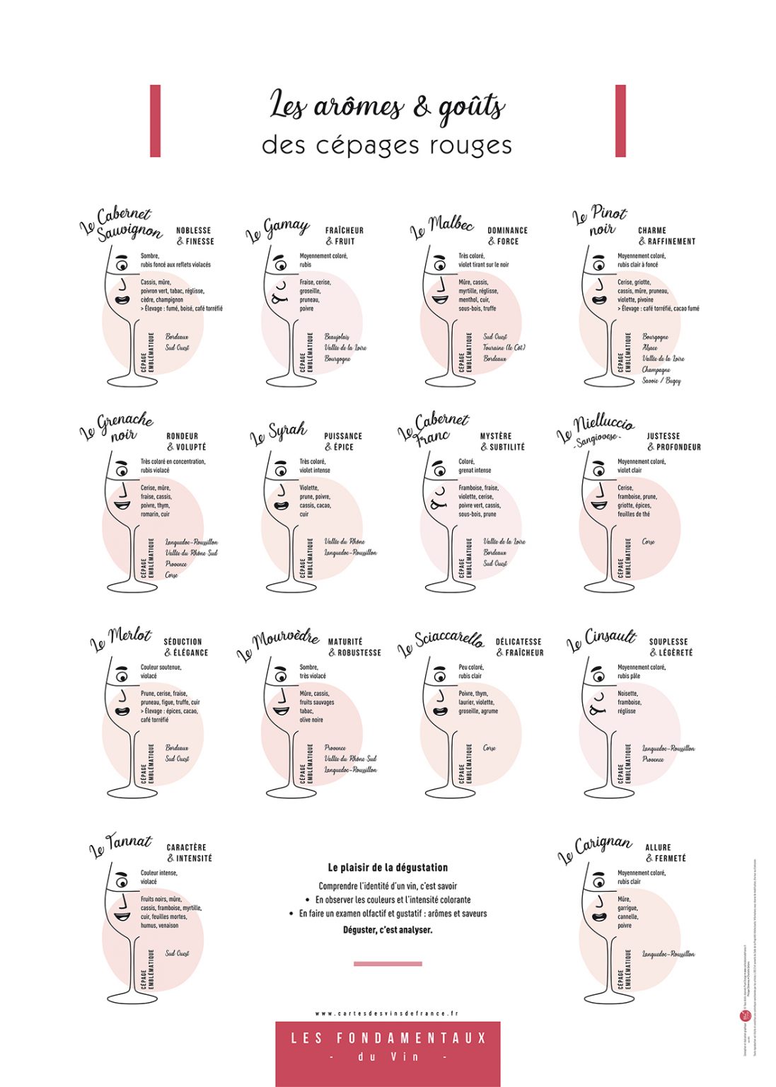 Affiche Les arômes & goûts des cépages rouges 50x70