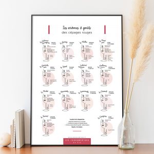 Affiche Les arômes & goûts des cépages rouges 50x70