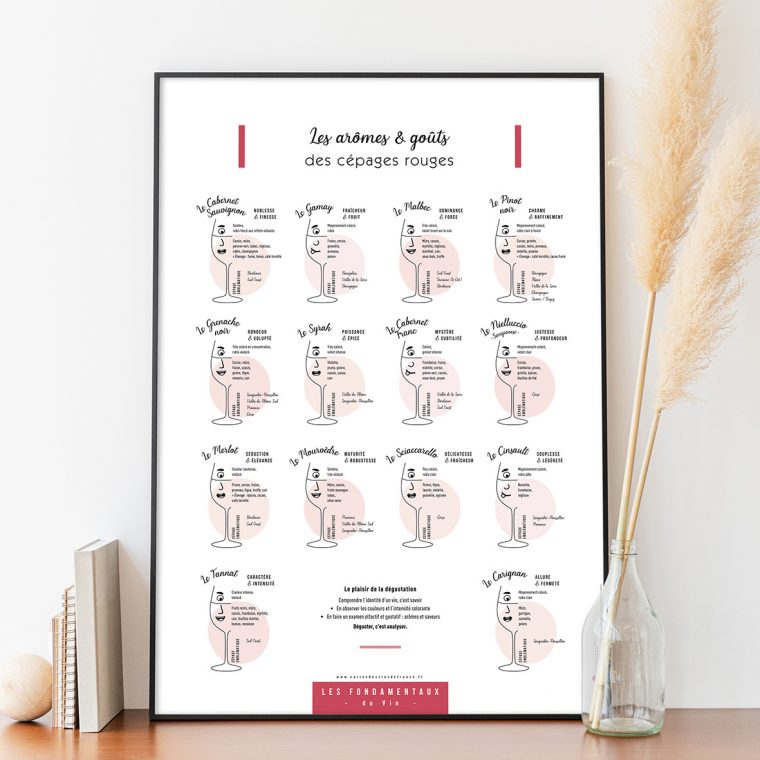 Affiche Les arômes & goûts des cépages rouges 50x70