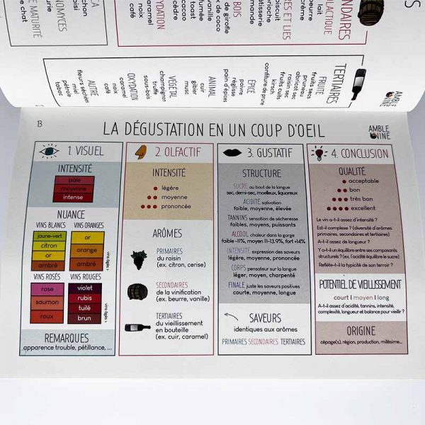 la dégustation en un coup d'oeil