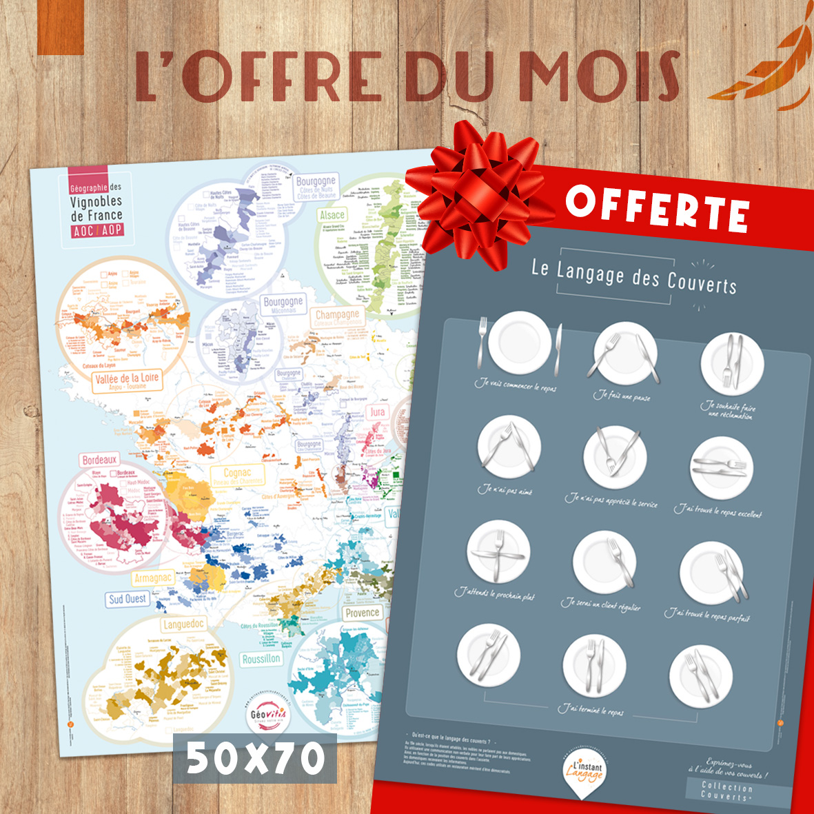 OFFRE Carte GÉOGRAPHIQUE GÉOVITIS 50x70