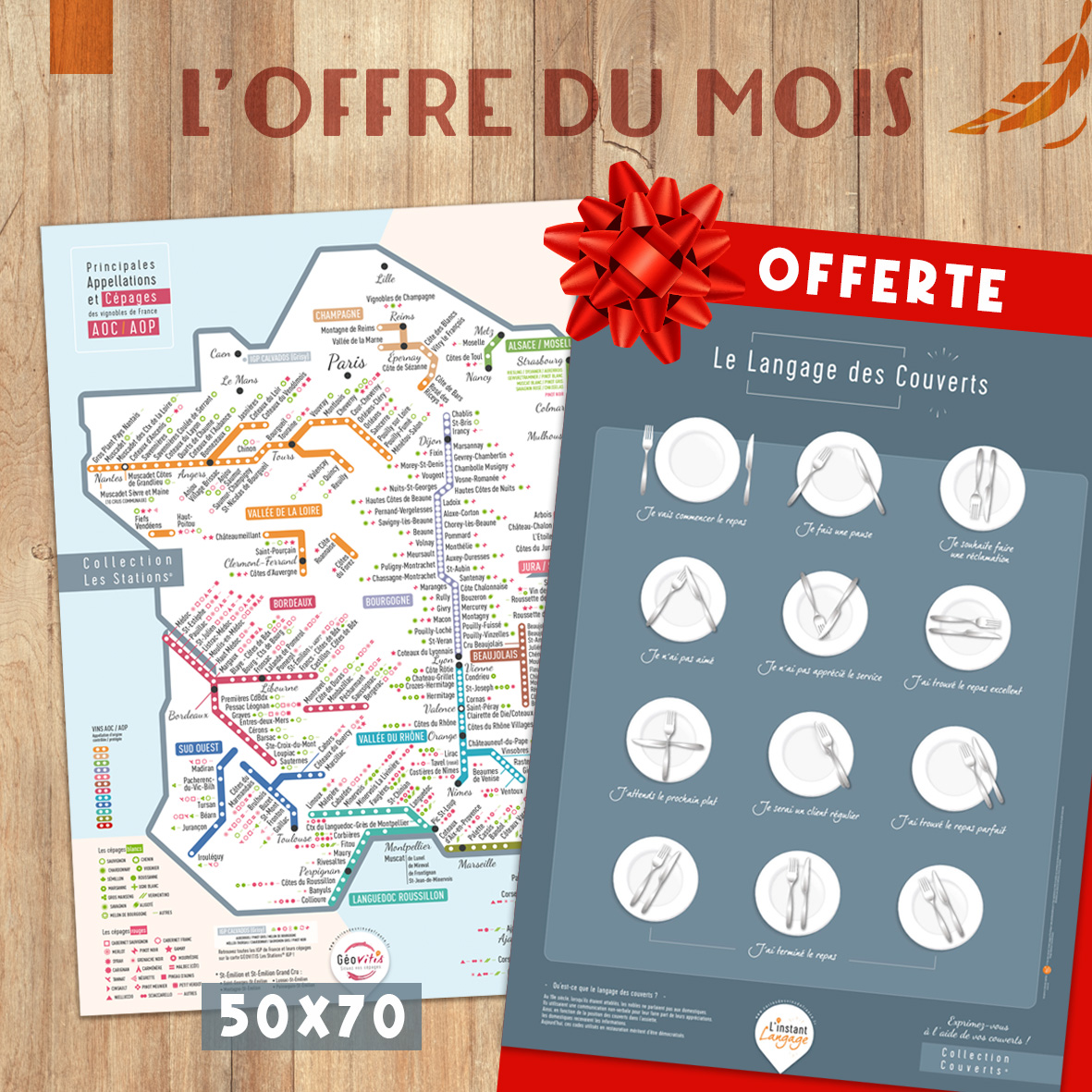 OFFRE Carte LES STATIONS GÉOVITIS 50x70