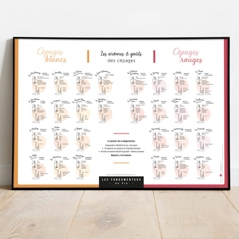 Affiche Les arômes & goûts des cépages blancs et rouges 70x50