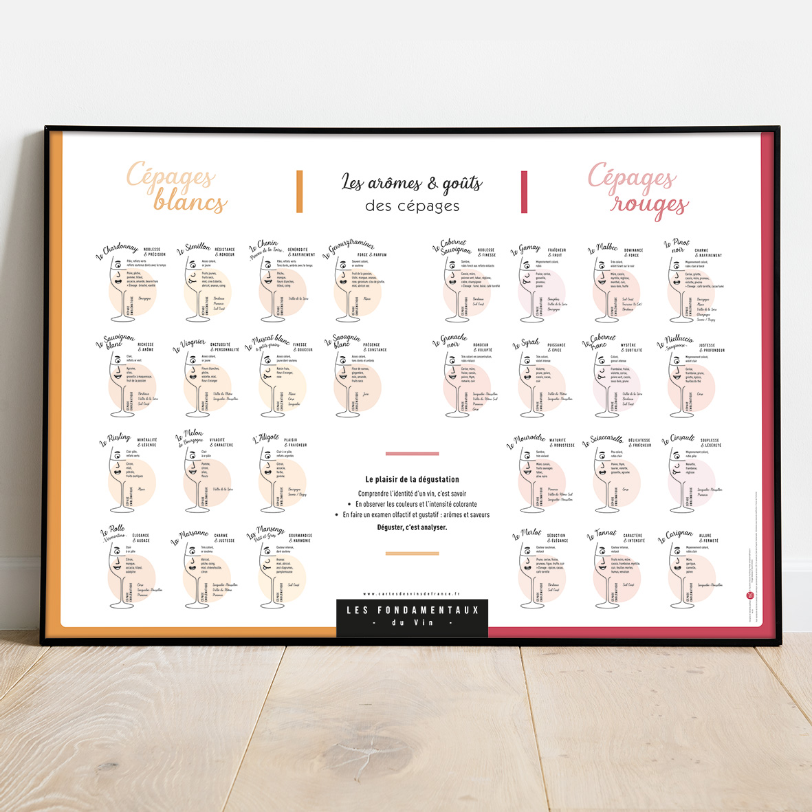 Affiche Les arômes & goûts des cépages blancs et rouges 70x50