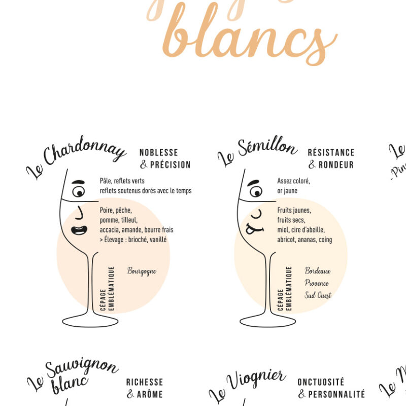 Affiche Les arômes & goûts des cépages blancs et rouges 70x50