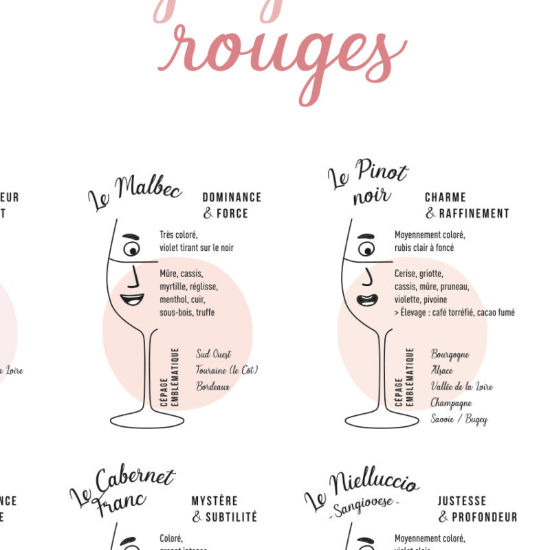 Affiche Les arômes & goûts des cépages blancs et rouges 70x50
