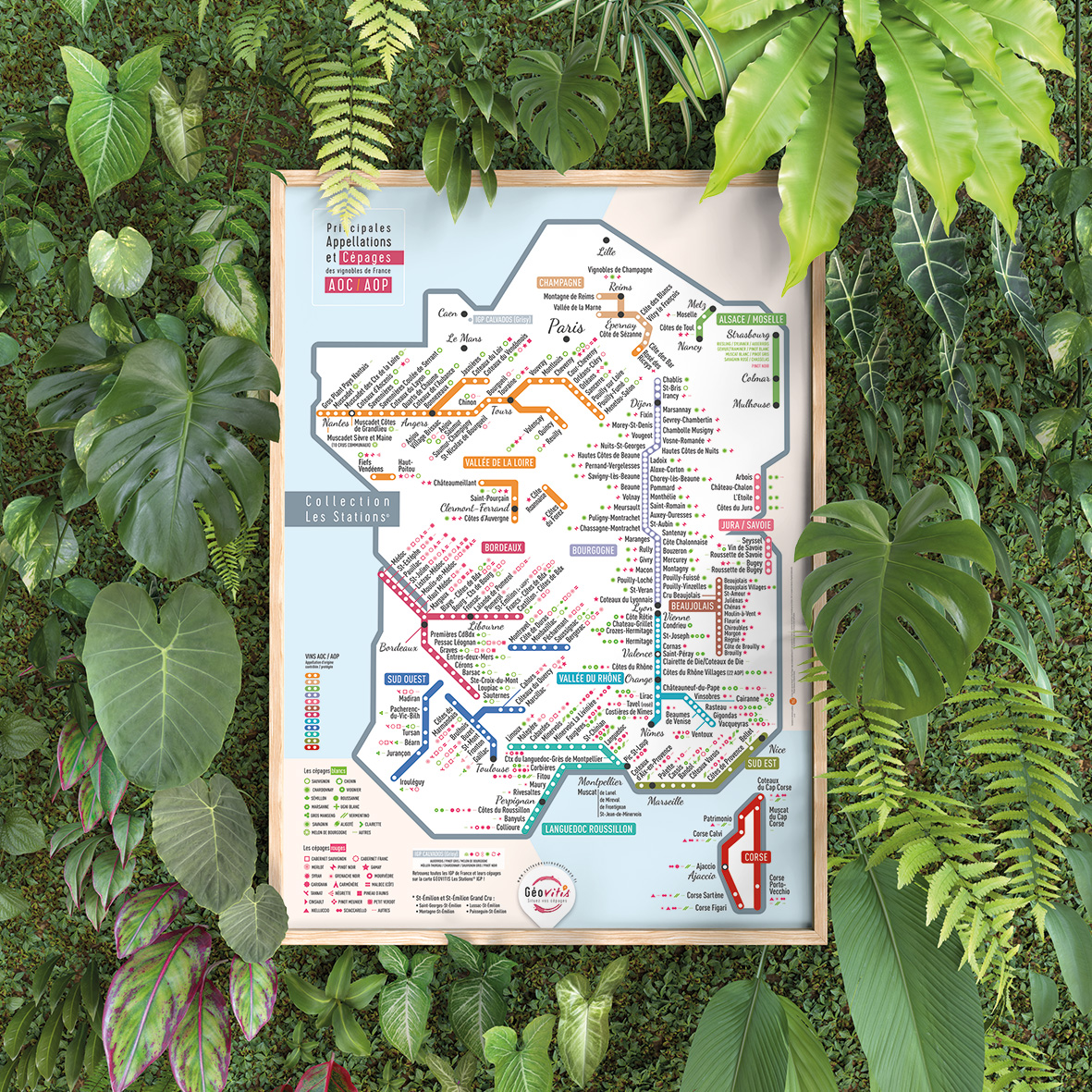 Carte de France des vins Les Stations Pétillante Géovitis 70x100