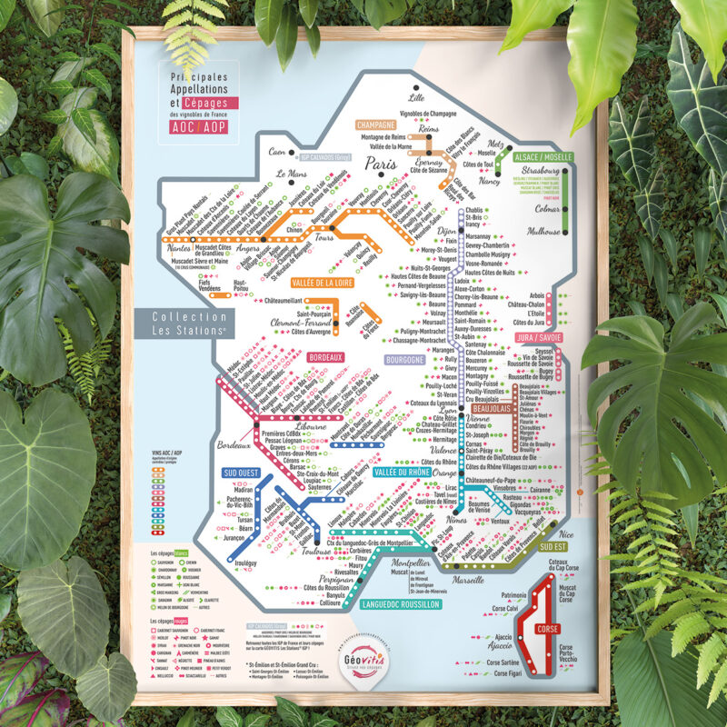 Carte de France des vins Les Stations Pétillante Géovitis 70x100