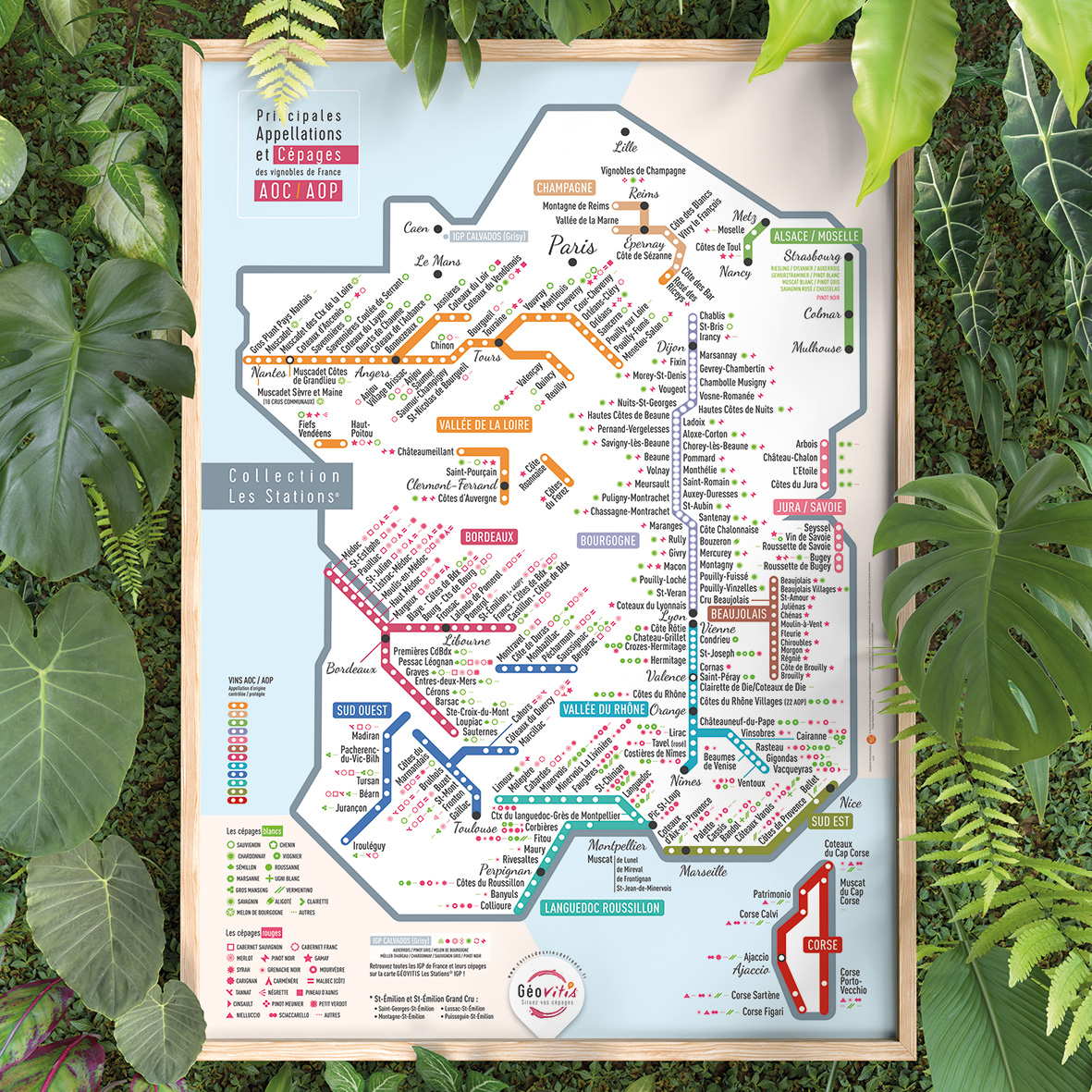 Carte de France des vins Les Stations Pétillante Géovitis 70x100